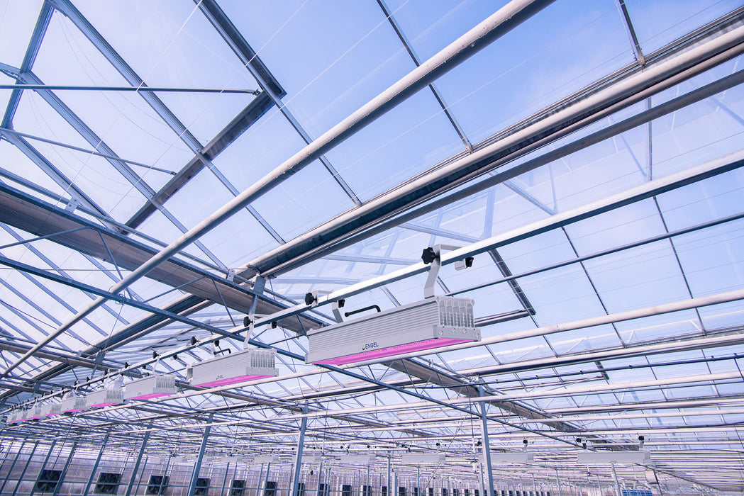 Optimus LED-Pflanzenleuchte 200W Infrarot, Far-Red und UV in Grow LED