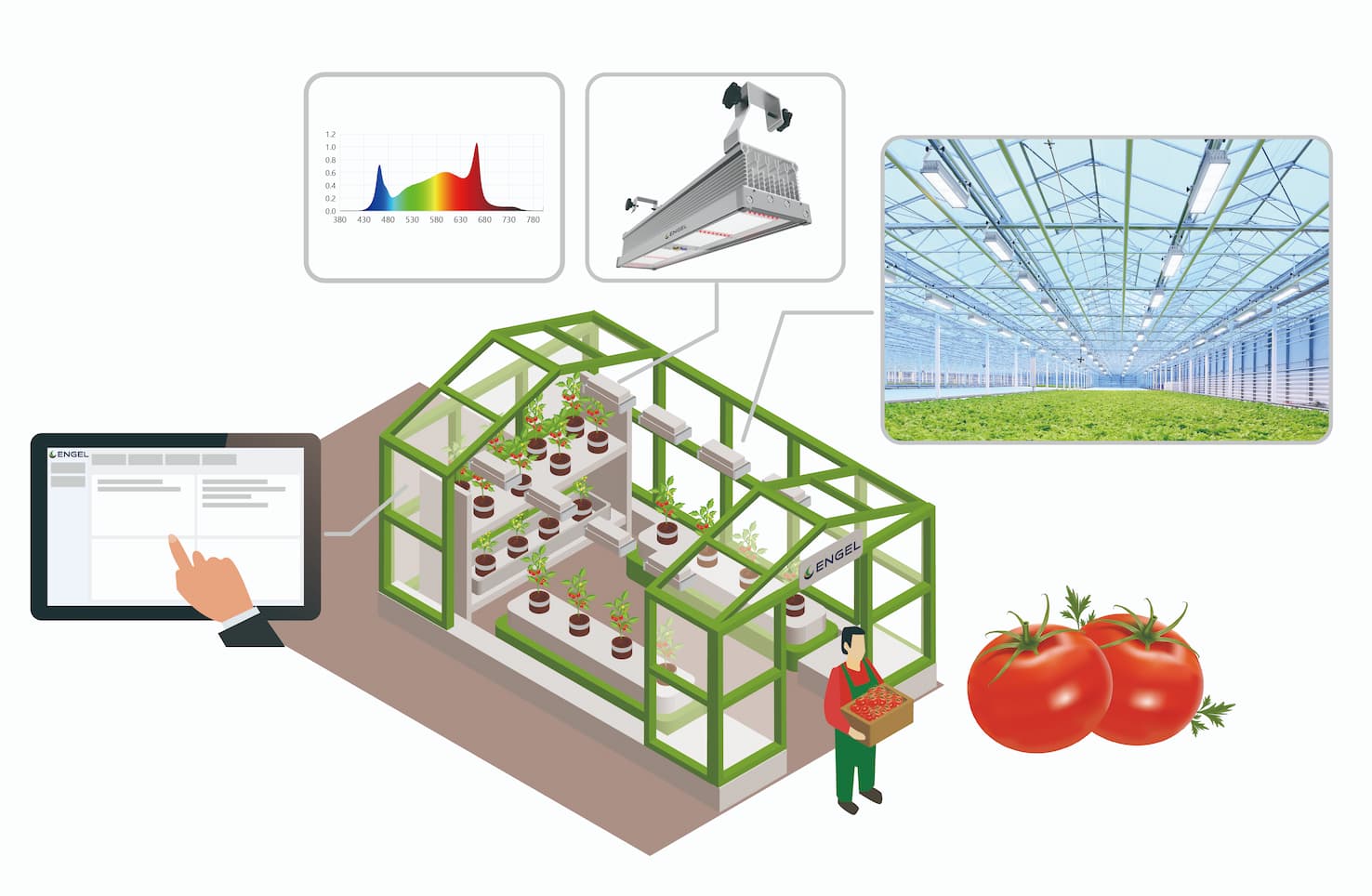 Engel Gaia 4 chanel light with TerraSmartPARS Wireless Control System