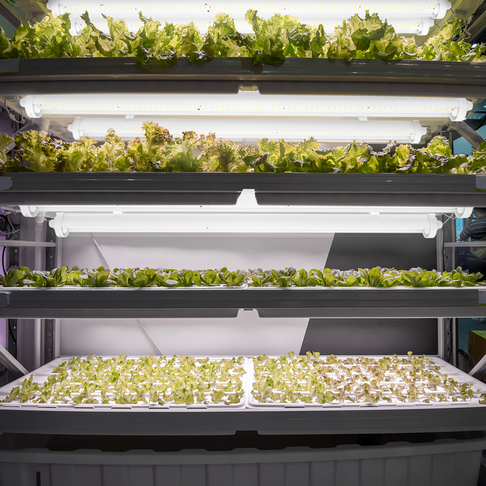 eGrow Quinton LED Pflanzenlampe 60cm 120cm 150cm Vollspektrum IP65