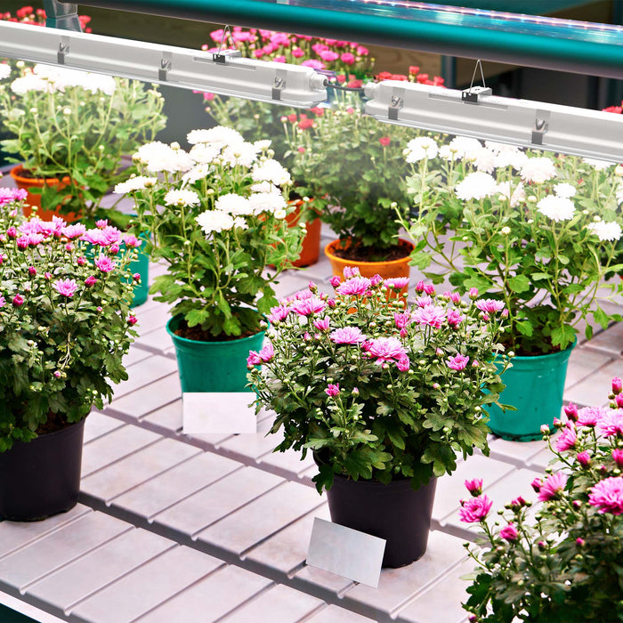 eGrow Quinton LED Pflanzenlampe 60cm 120cm 150cm | Vollspektrum Grow Light IP65 für Gemüse & Kräuter | Professionelle Pflanzenleuchte für Gewächshaus & Indoor-Farming