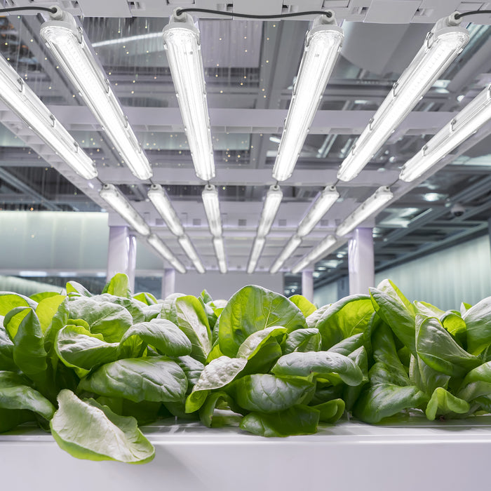 eGrow Quinton LED Pflanzenlampe 60cm 120cm 150cm Vollspektrum IP65